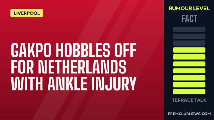 Gakpo hobbles off for Netherlands with ankle injury