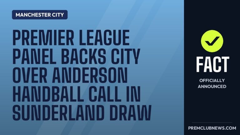 Premier League panel backs City over Anderson handball call in Sunderland draw