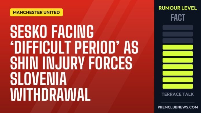 Sesko facing ‘difficult period’ as shin injury forces Slovenia withdrawal Sesko facing ‘difficult period’ as shin injury forces Slovenia withdrawal