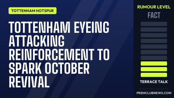 Tottenham eyeing attacking reinforcement to spark October revival