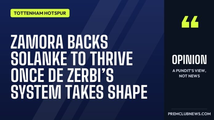 Zamora backs Solanke to thrive once De Zerbi’s system takes shape