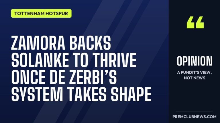 Zamora backs Solanke to thrive once De Zerbi’s system takes shape