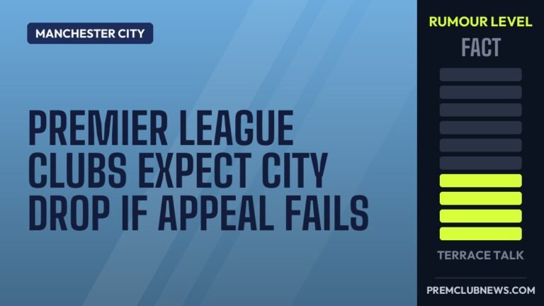 Premier League clubs expect City drop if appeal fails